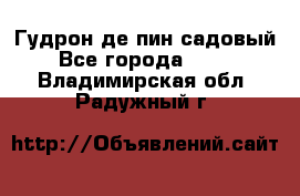 Гудрон де пин садовый - Все города  »    . Владимирская обл.,Радужный г.